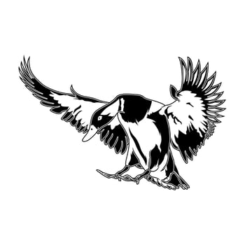 mallard duck lands after flying with both legs spread hunting logo illustration vector