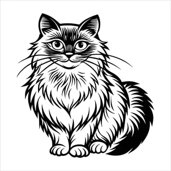 Ragdoll cat svg clipart vector