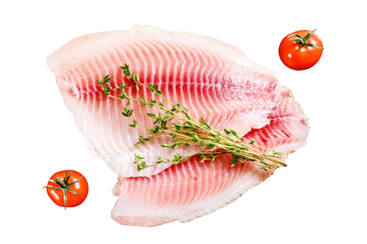 Raw fish telapiya on the cutting Board. Gray background. Top view png