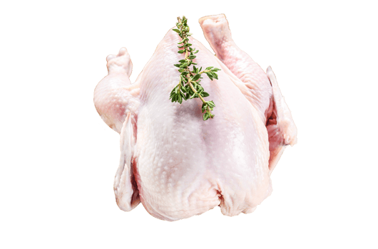 Whole raw Free range chicken with thyme and spices. White background. Top view png