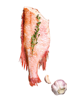Raw red sea perch on a stone Board with thyme. Black background. Top view png