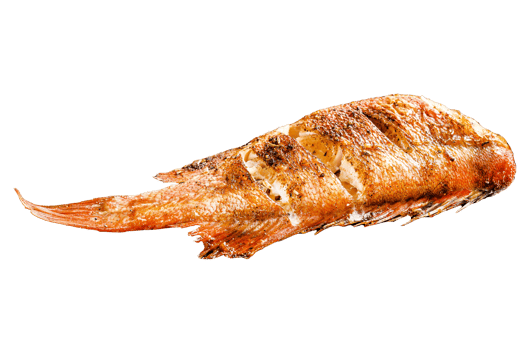 Red sea bass fried. Black background. Top view png