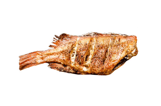 Red sea bass fried. Black background. Top view png