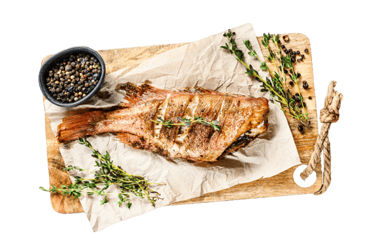 Red sea bass grilled. Gray background. Top view png