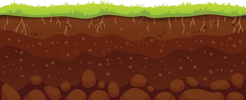 Cartoon illustration of soil layers with grass growing on top, roots visible underground, and stones at the bottom, representing a healthy ecosystem vector
