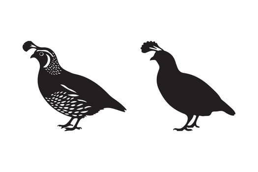 Quail Bird Silhouette Illustration vector