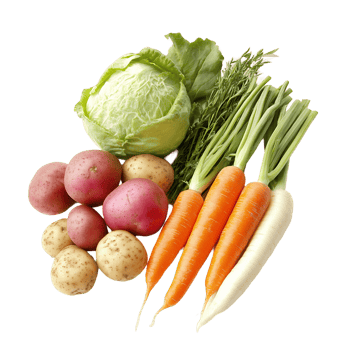 group of Fresh Vegetables png