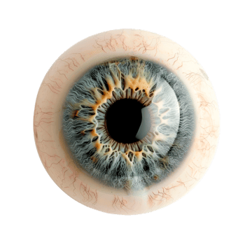 A detailed view of a human eye showcasing the iris and pupil png