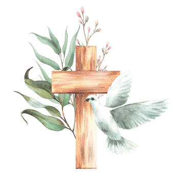 Wooden cross and flying pigeon with Eucalyptus plant green branches and small pink flowers twig. Religion Illustration hand drawn watercolor Dove bird arrangement for baptism Isolated from background png