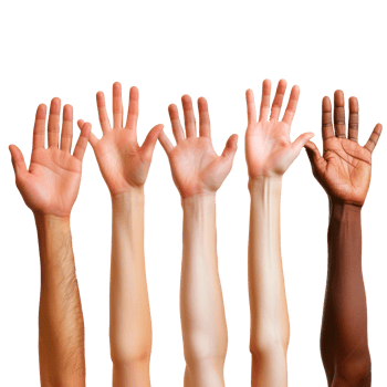 Diverse hands reaching up in a gesture of unity and support png
