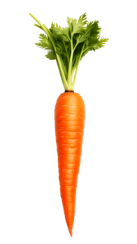 Fresh organic carrot with green leaves on a transparent background png