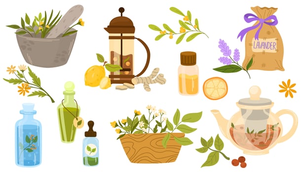 Homeopathy, aromatherapy, natural traditional medicine set. Herbs, herbal tea, homeopathic naturopathic essentials, healing plants. Flat graphic illustrations isolated on white background vector