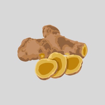 Editable illustration of temulawak for vegetable ingredients or herbal drinks vector