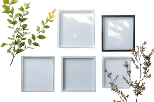 Display of empty frames arranged with branches on a white background for creative decoration png