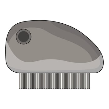 illustration of Flea Comb vector
