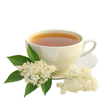 Tea Cup with Elderflower on Transparent Background png