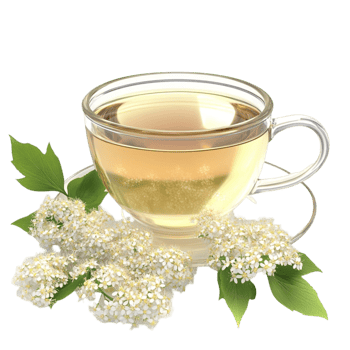 Herbal Elderflower Tea Cup with Transparent Background png
