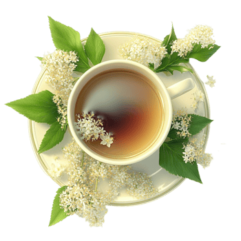 Cup of Tea with Flowers on a Saucer on White Background png