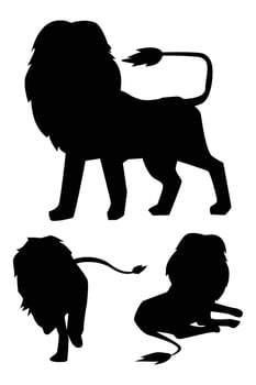 Silhouette of a Lion Roaring on a Savannah at Sunset vector