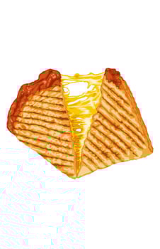 Drawing delicious sliced toasted bread cheese on white vector