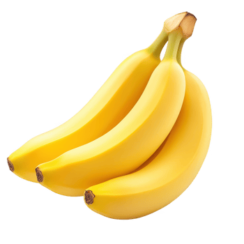 Three ripe, yellow bananas arranged beautifully on a white background. png