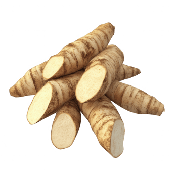 Freshly harvested horseradish roots, ideal for culinary use and healthy recipes. png