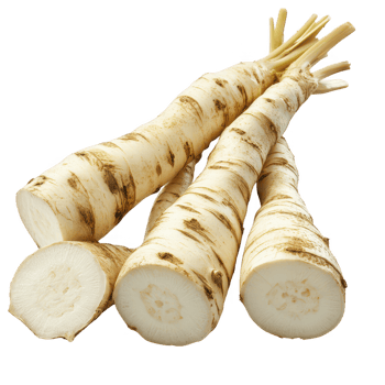 Freshly harvested horseradish roots ready for culinary use and flavor enhancement. png