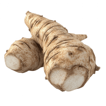 Fresh horseradish roots ready for preparation in various culinary dishes. png