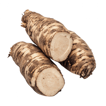 Freshly harvested horseradish roots ready for culinary use and vibrant dishes. png