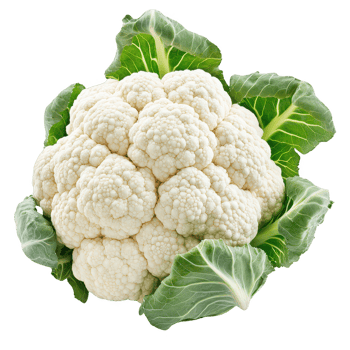 Fresh and healthy cauliflower with vibrant green leaves, perfect for various dishes. png