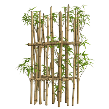 A natural bamboo fence surrounded by lush green bamboo plants. png