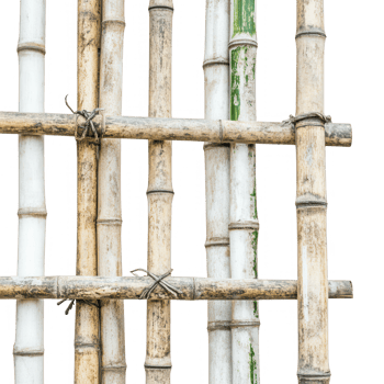 A close-up view of bamboo structures showcasing their natural texture and color variations. png