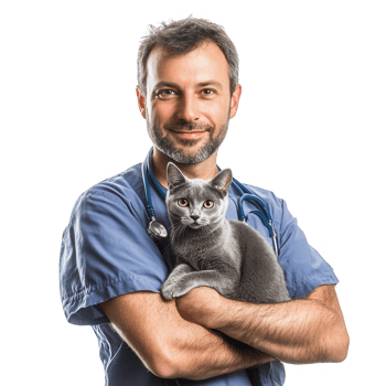 A compassionate veterinarian holding a gray cat, showcasing love for animals. png