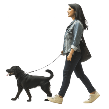 A woman happily walking her dog in the park, enjoying the outdoor life. png