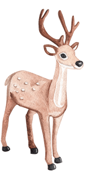 watercolor brown reindeer isolated png
