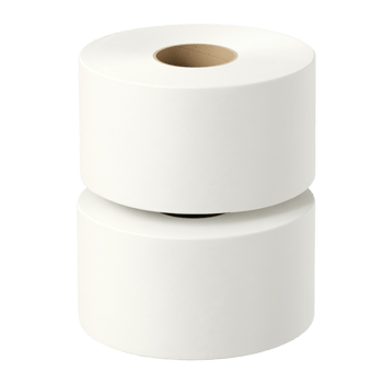 Toilet Paper Rolls Duo on Surface png