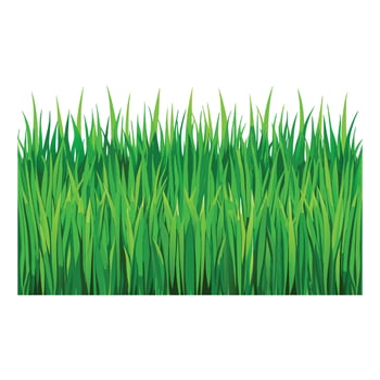 green grass background illustration vector