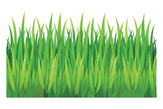green grass illustration vector