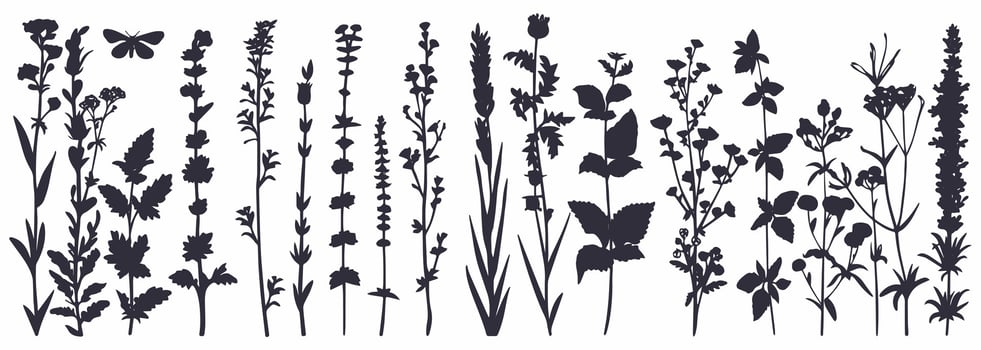 Black silhouettes of grass, flowers, and herbs with insects, hand-drawn on white background. vector