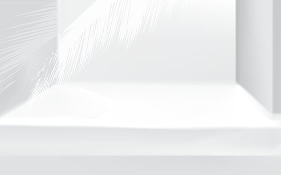 3d clean soft stage background product display podium scene with palm leaf floral decor. Blurred soft light architectural background with white show product podium. vector