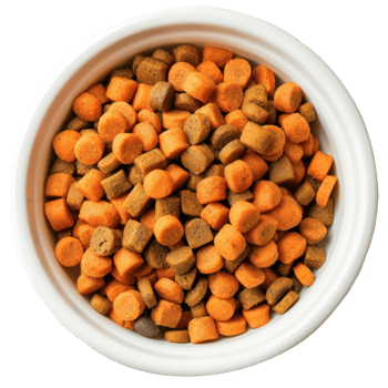 A bowl of orange dog food isolate on transparent background png