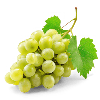 Grapes ripe green grape isolated on white Full depth of field isolate on transparent background png