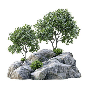 Trees on Rocky Terrain with Green Foliage png