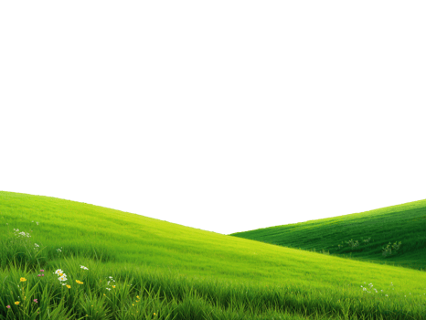 wide panorama of beautiful hilly meadow grass landscape cut out isolated on transparent background png