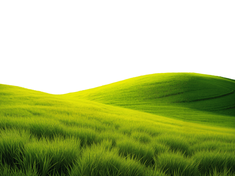 lash green hill meadow grass landscape cut out isolated on transparent background png