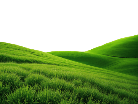 green grassland landscape cut out isolated on or transparent background png