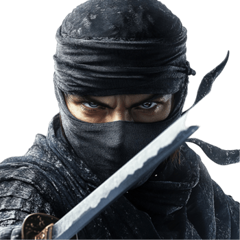 Ninja on Transparent Background png