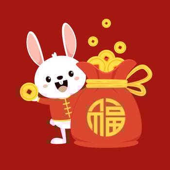 Chinese New Year Money pocket . Chinese money bag . vector
