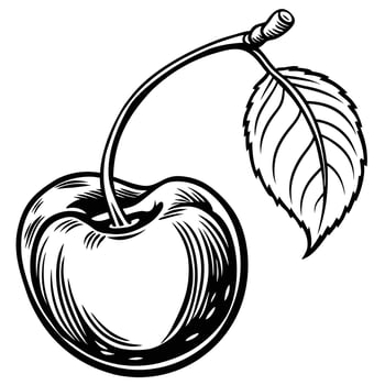 a black and white drawing of a cherry with a leaf vector