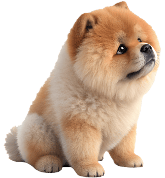 Adorable Chow Chow clipart with fluffy fur and personality. . png